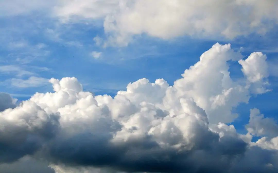 推粪球之前，屎壳郎为什么要跳舞？