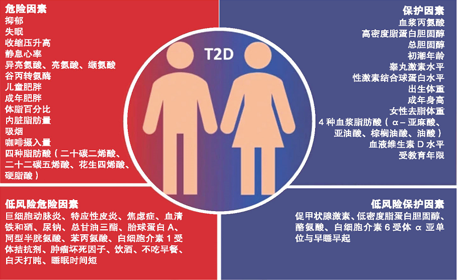 对号入座！糖尿病的19种危险因素和15种保护因素！来自近百万人的研究