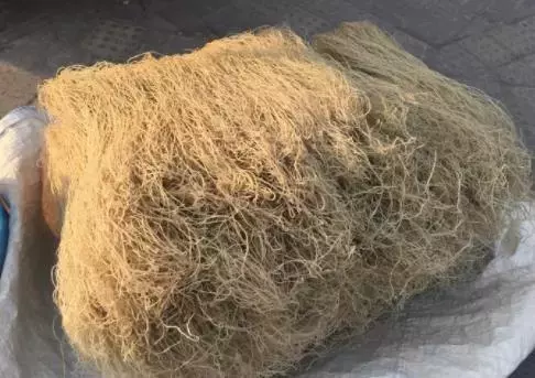 年货TOP榜｜洛阳特产那么多，最后1件一定想带回家！