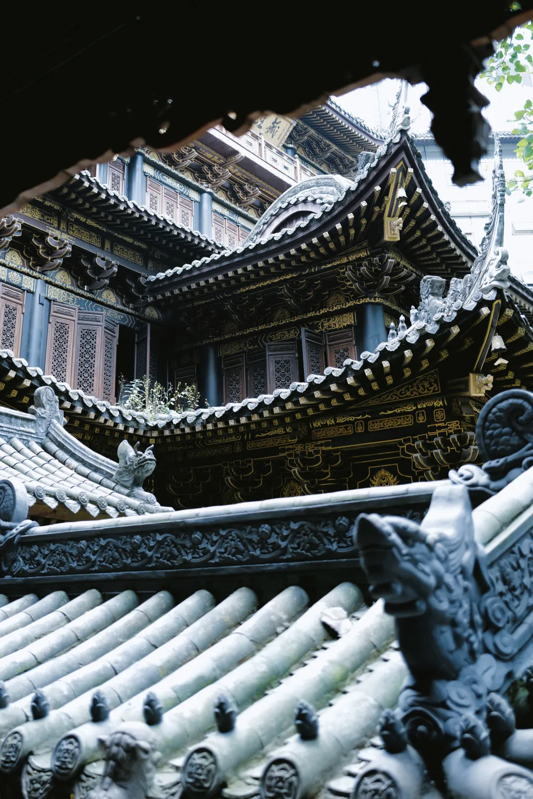 重庆旅游惊!竟然有人说重庆不适合旅游?