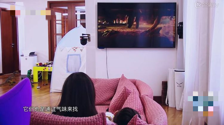 霍思燕的育兒觀：不限制孩子看電視，嗯哼很多知識是從動畫片學的