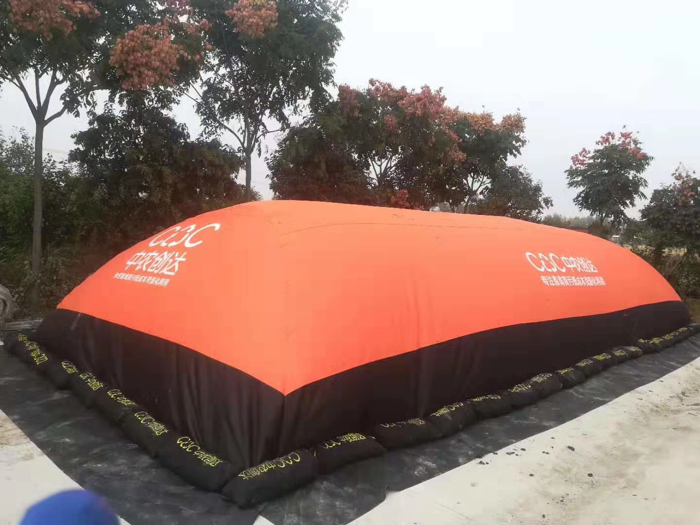 15萬蛋雞存欄，日產雞糞20方，曾讓老陳犯難的雞糞今成聚寶盆