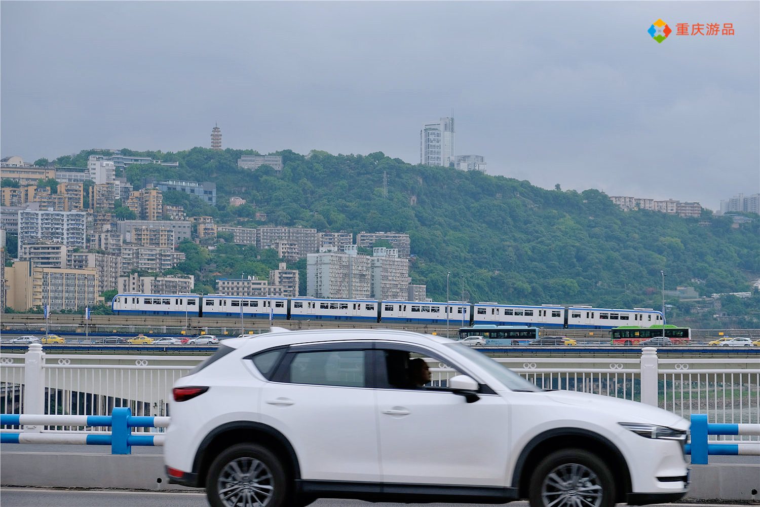 重庆冷知识：嘉陵江的源头在哪里？是一个国家森林公园