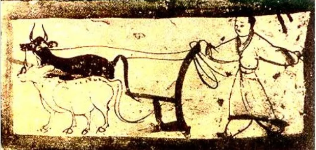 Ŵյô࣬ΪʲôũɱҲȥѻĵأ