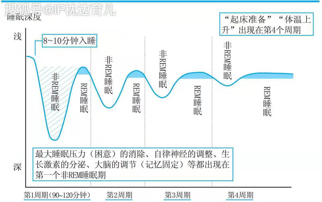 為什么別人午休后神清氣爽，而你卻感覺被世界拋棄了