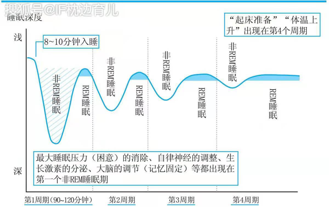 为什么别人午休后神清气爽，而你却感觉被世界抛弃了