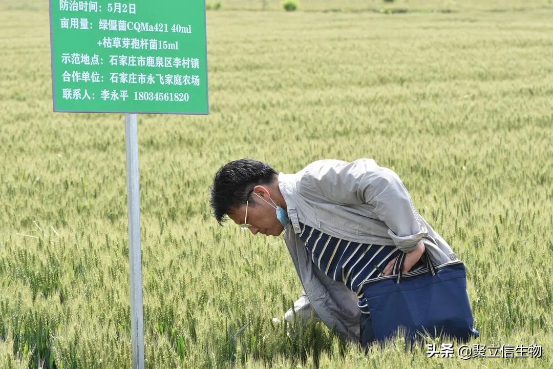 重庆聚立信刘建华：推广真菌生物农药 助力化药减量增效