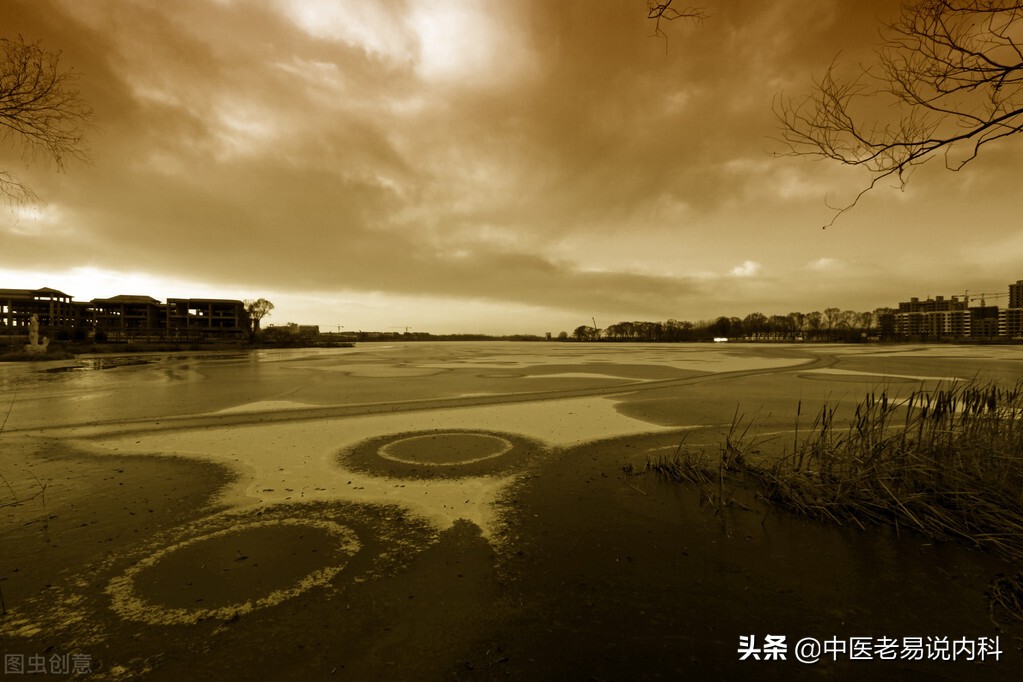 How to make up for kidney yang deficiency?There are fast supplements