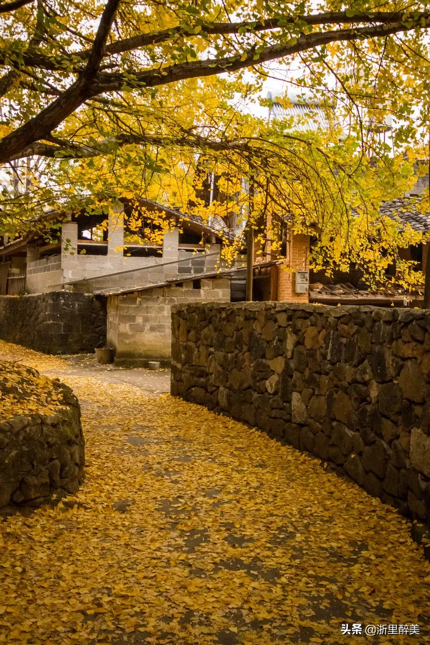 10 ancient towns with beautiful autumn colors, if you are tired, go to stay for a few days