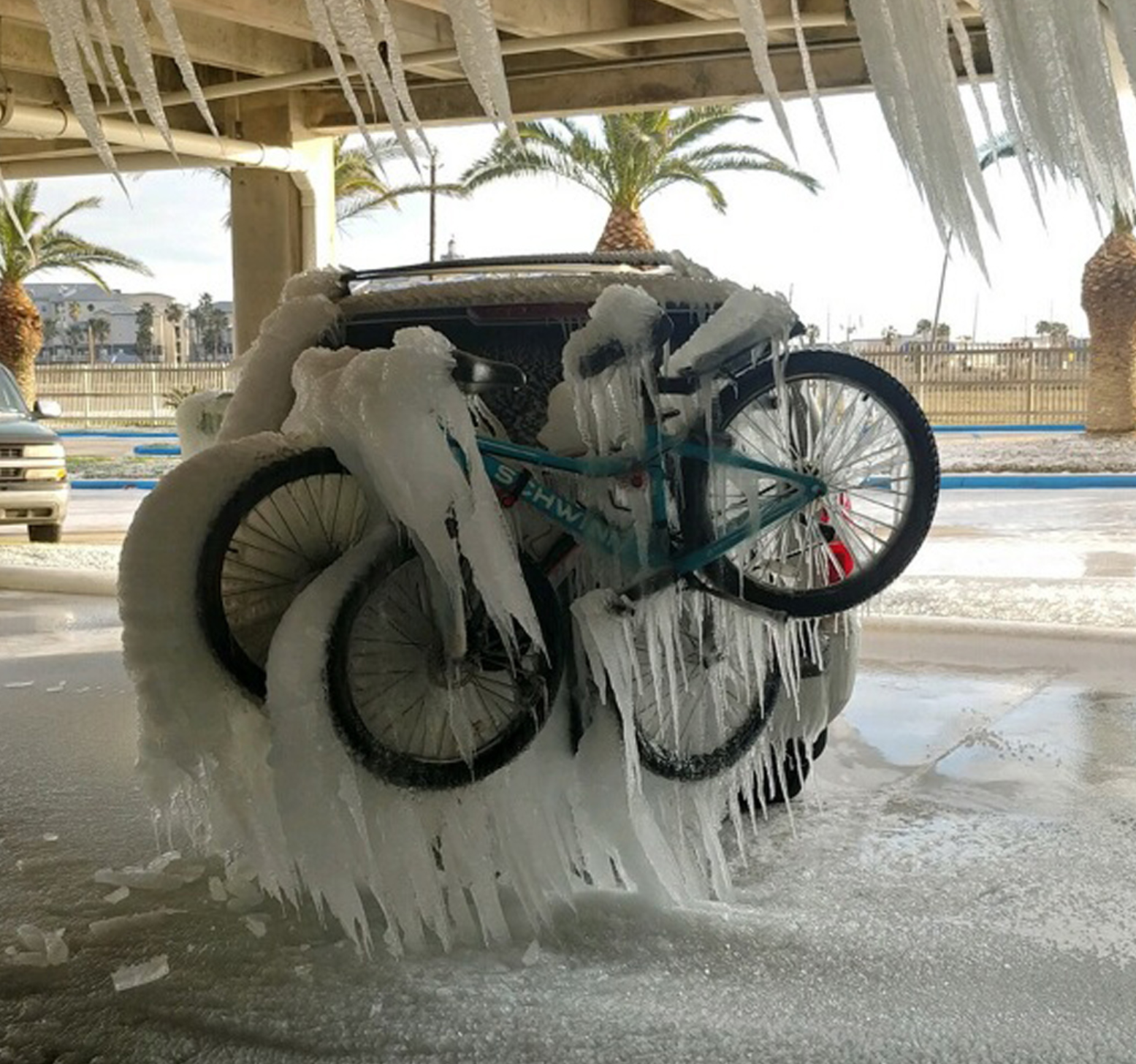 现实版悲惨世界！暴风雪下的美国得州，人们犹如身处冰河时代
