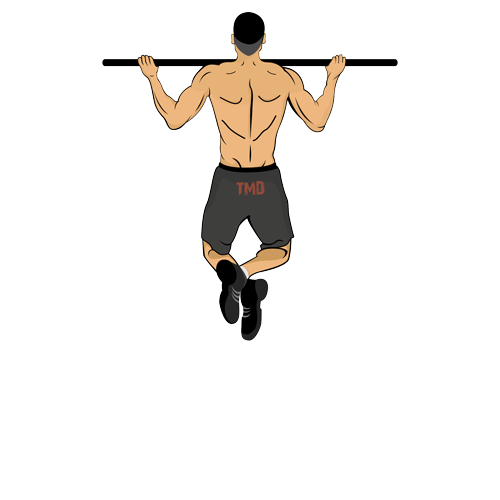 健身練背有多重要？6個背部力量動作，促進全身肌肉協調發展