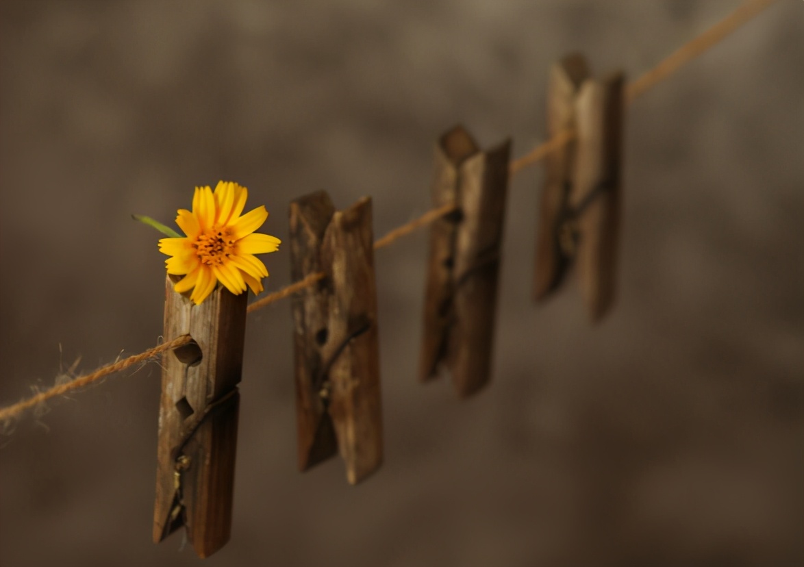 餘生很苦，珍惜那個讓你笑的人