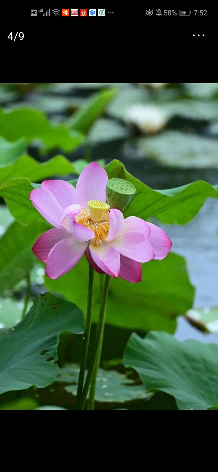 个人自媒体如何走出困境？从哲学的角度思考