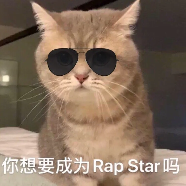 6park Com 猫咪表情包 终究还是一个人抗下了所有 的体重