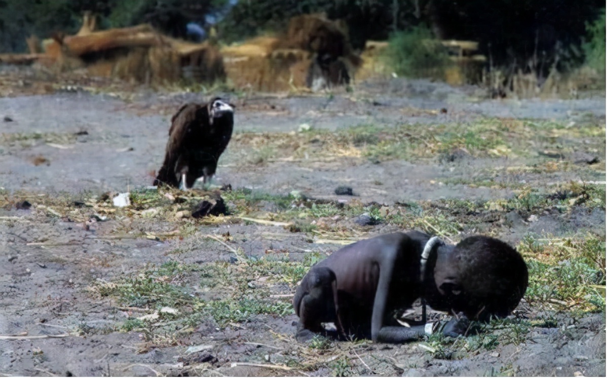 Body During Starvation