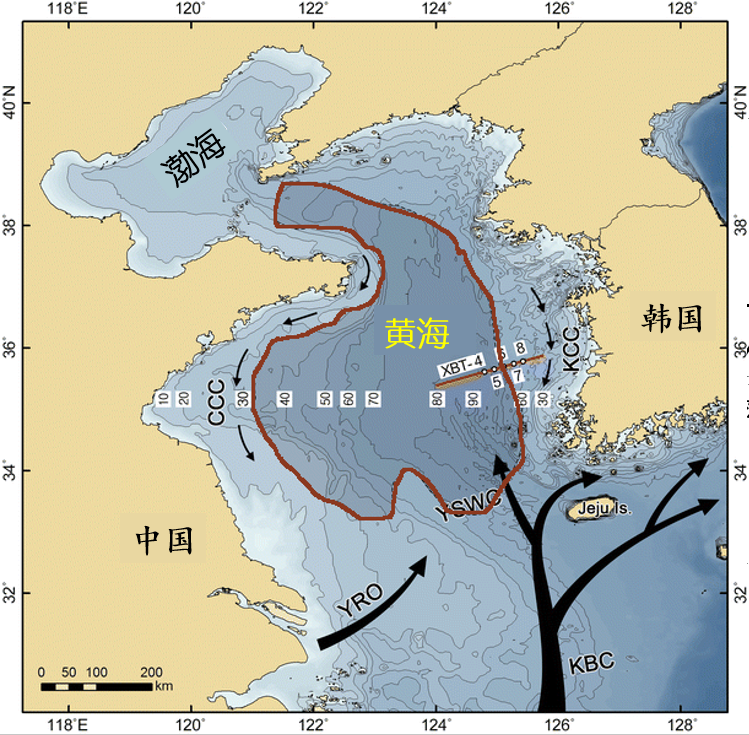 中國能養(yǎng)三文魚，為什么卻養(yǎng)不了金槍魚？