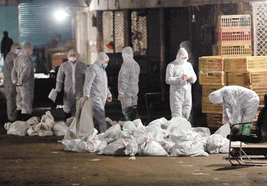 印度要出“王炸”了 美国扛不住先撤人员了