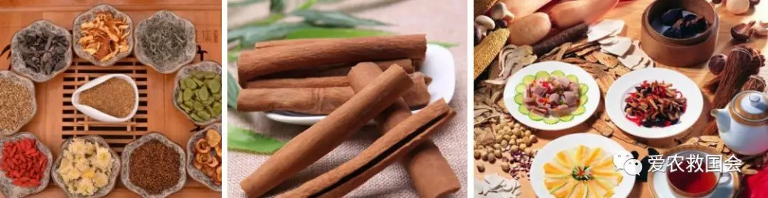 茶人借鉴：中医药特色小镇的发展与思考