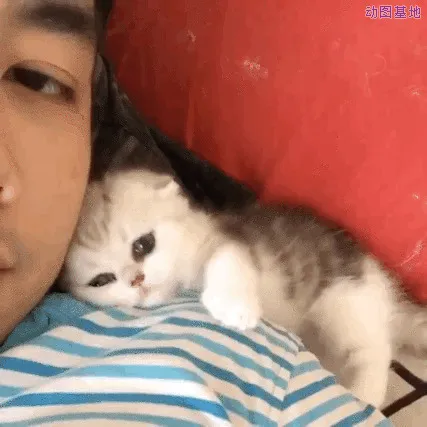 最容易跟女生聊出感情的几个话题,百试不爽