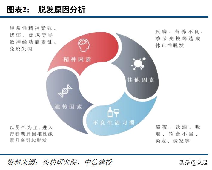 植发行业研究：植发行业前景广阔，龙头连锁抢占先机