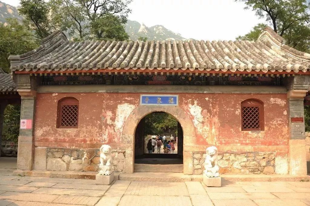 從一行代碼到國民級應用，程式員們逐步影響世界