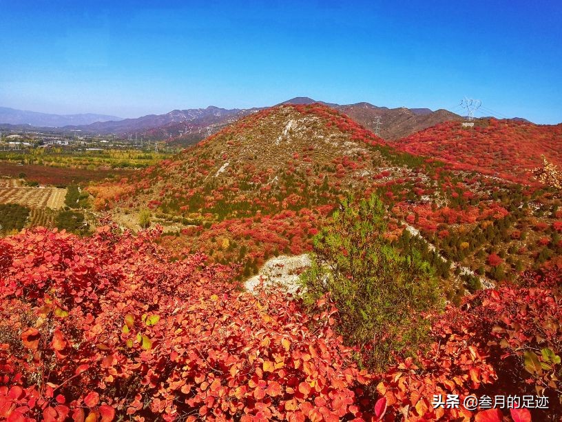On weekends, check in Shunyi’s free scenic spot, the colorful shallow mountains, the red leaves are beautiful, and there are so many tourists.