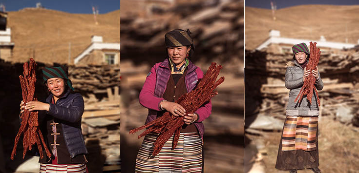 人到中年，別不捨得用錢，2款食物建議要常吃，營養美味對身體好