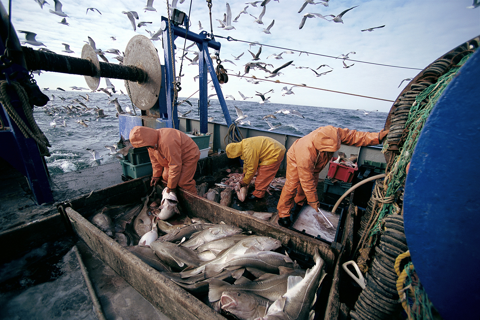 北海道渔民图片