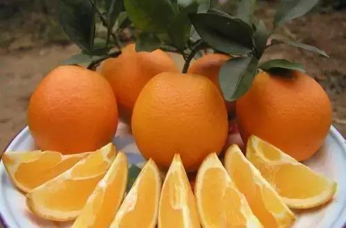 最好吃的橙子排名介绍，中国最甜的7大橙子产地排名？