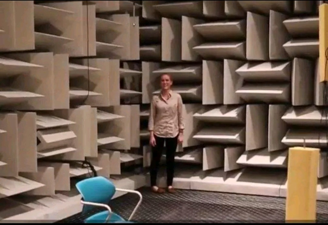 世界上最安静的房间，独处1小时奖励1千美金，却无人敢挑战？