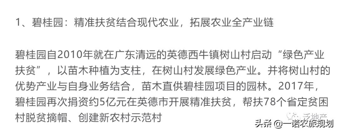 “鄉(xiāng)村振興+房地產(chǎn)”=規(guī)模房企新機(jī)遇？