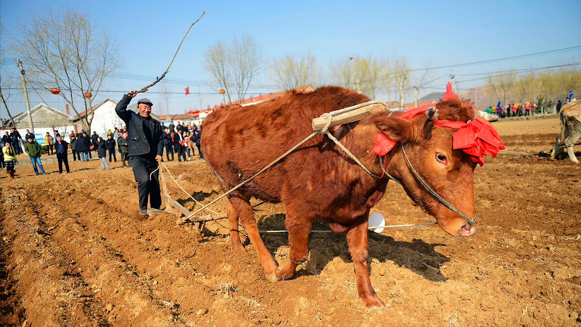 特别提示：大年初七如此重要，想要有大收获要怎么做？