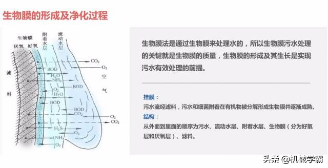 6种污水处理工艺，高规格的的详细介绍