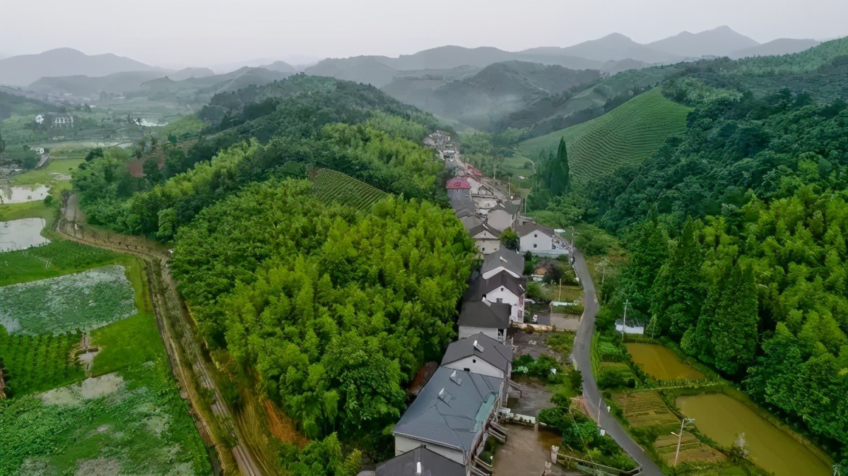 「文旅案例」“公司村農場(chǎng)”模式，6年時(shí)間村集體資產(chǎn)增長(cháng)300多倍