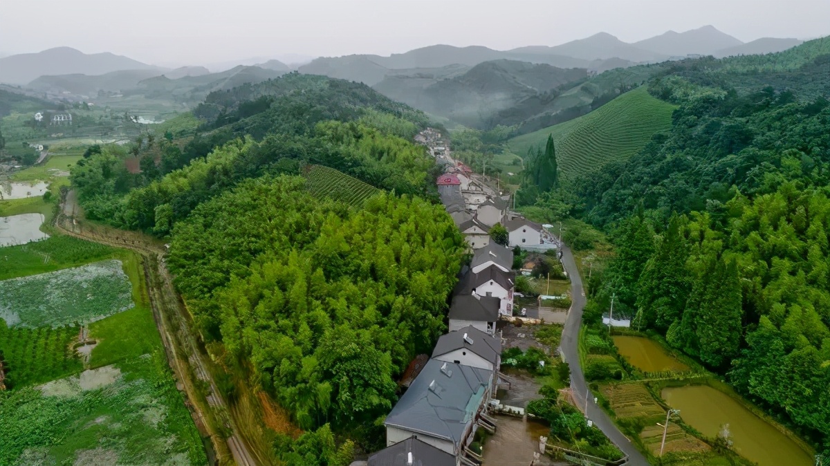 「文旅案例」“公司村農(nóng)場”模式，6年時間村集體資產(chǎn)增長300多倍