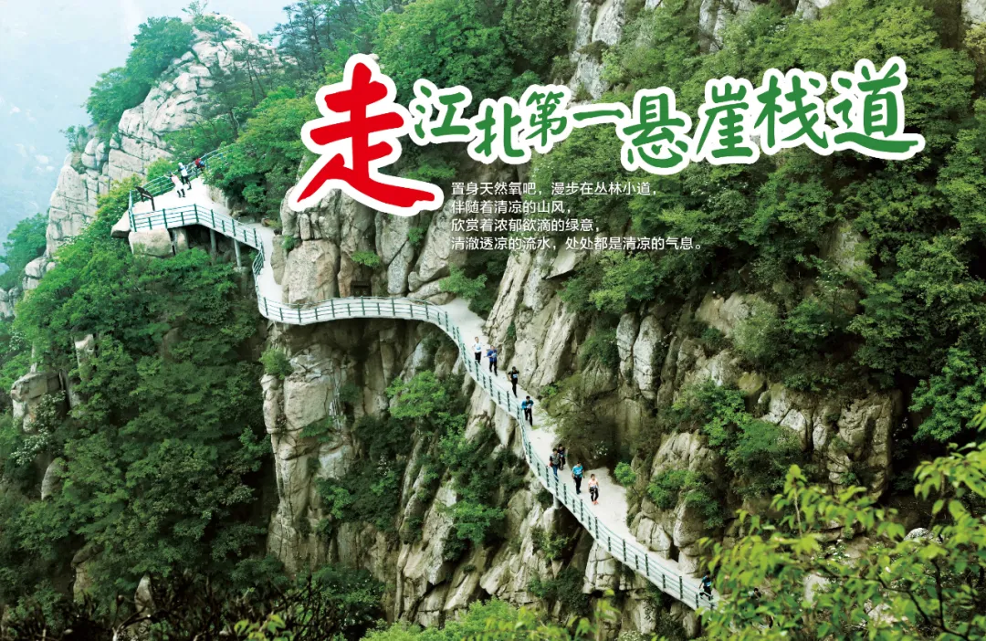“粽”情狂欢丨端午节，临沂天蒙景区免费游！福粽免费送