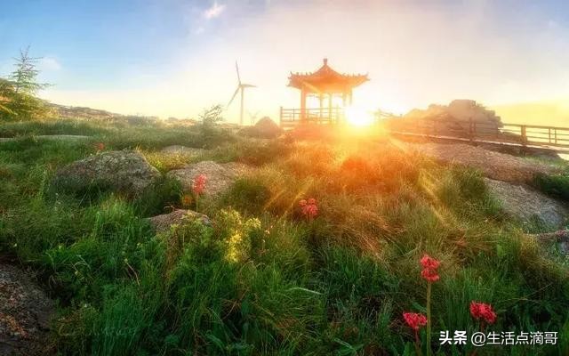 长风破浪会有时，直挂云帆济沧海：60句励志古诗，燃起你的斗志-第1张图片-非凡网