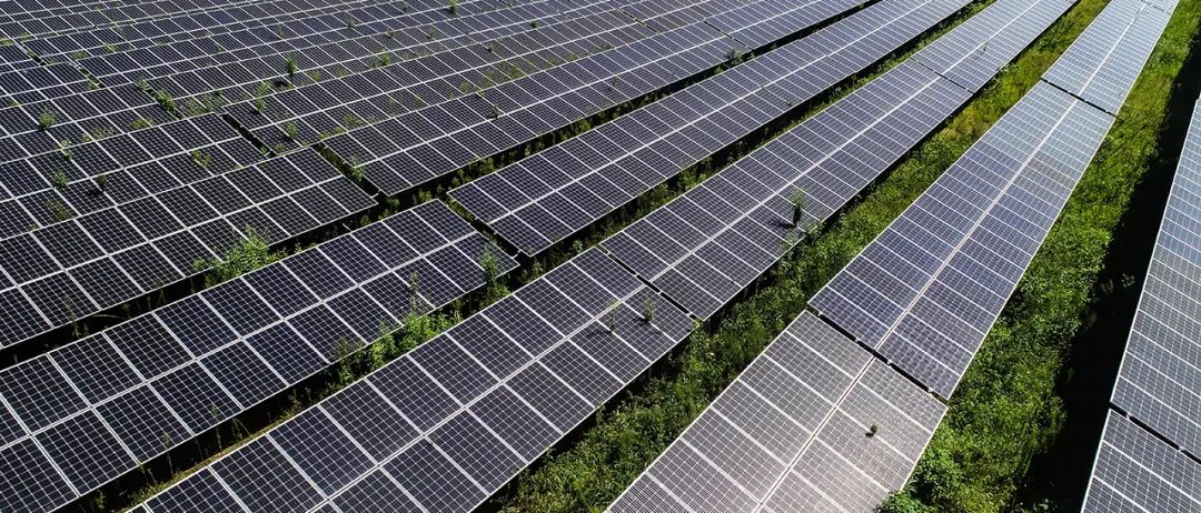 象群北迁，降雨线北移，大陆国家的盛世来了