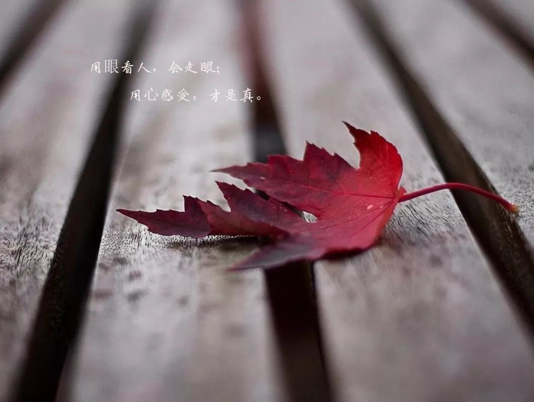 钱能看清一个人的语录，钱能看清一个人的说说