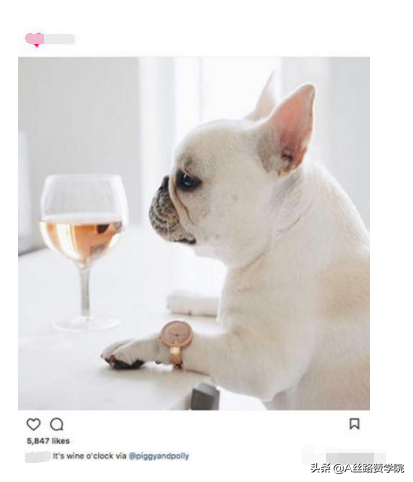 玩转Instagram广告—Instagram投放指南大全