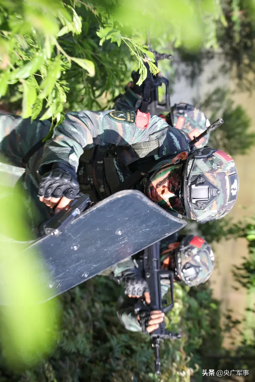 滇南密林，带你直击武警特战队员“反恐”现场