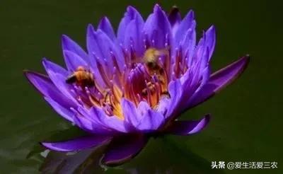 现在能闷声发大财的行业？