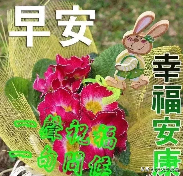 非常漂亮的早安问候语早安图片唯美带字，微信早上好祝福语录精选