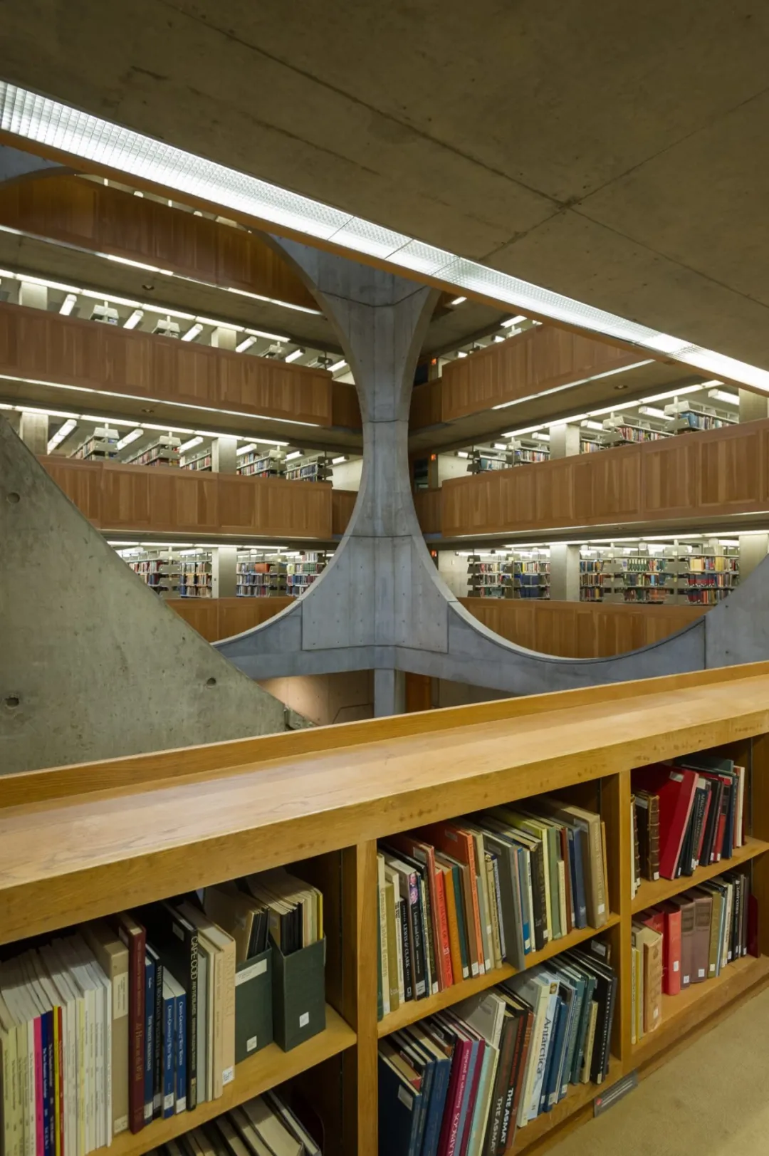 Heaven should be like a library - iMedia