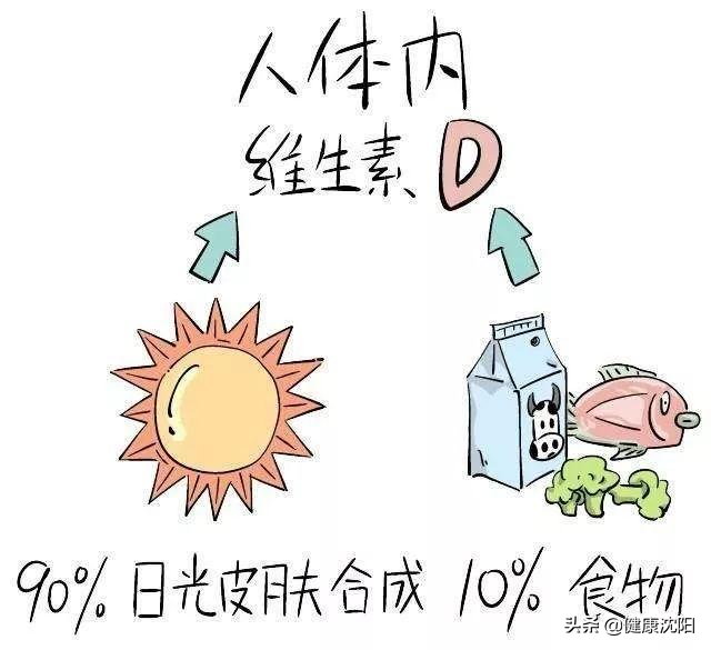 健康知識普及行動系列科普知識講座之合理膳食篇
