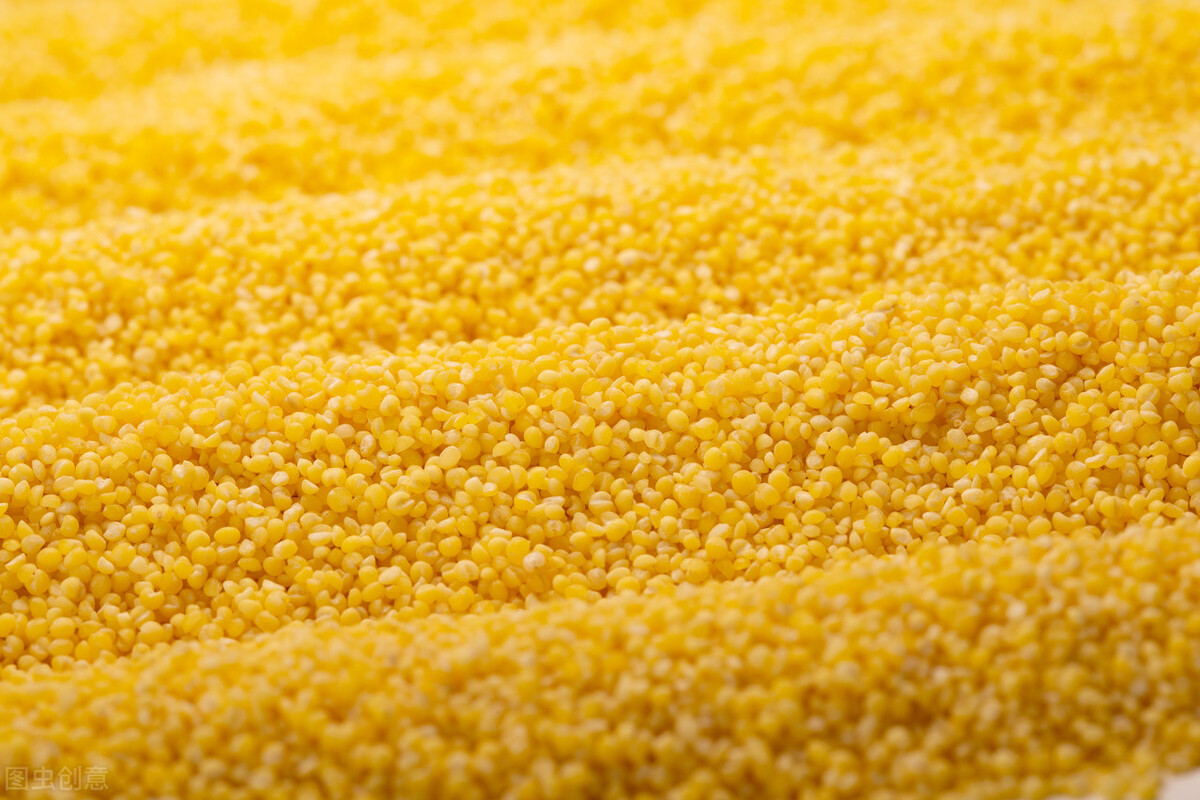 Chinese medicine health preservation millet is expensive as a fine