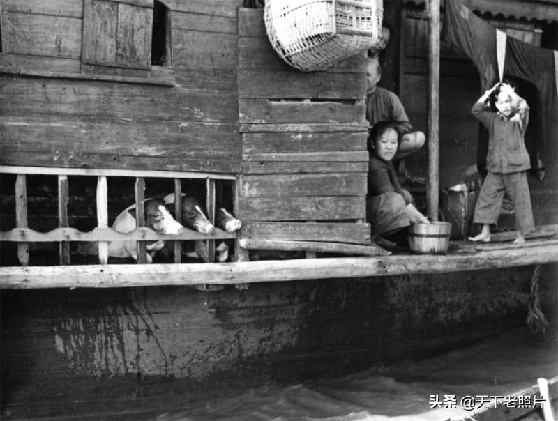 民国时期广东江门老照片“中国第一侨乡”江门的民国风貌