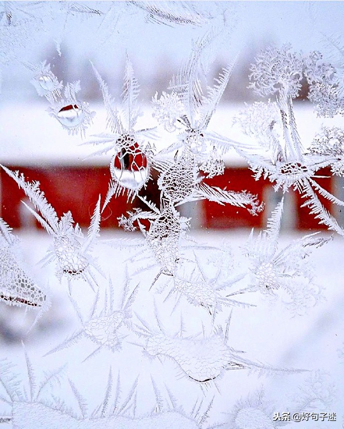 朋友圈背景图雪花不贵图片