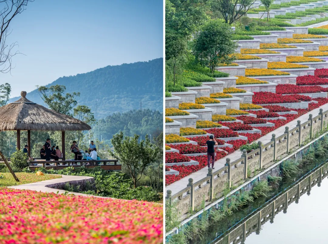 铜梁.龙乡绿道:在巴岳玄天下延展超级步行重庆的新可能性