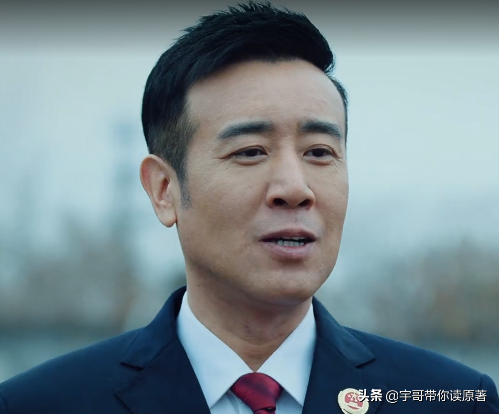 《巡回检察组》大结局：冼友文露馅，武强落网